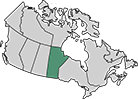 A map of Canada with the province of Manitoba highlighted